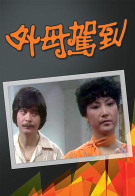 外母驾到粤语 外母驾到粤语