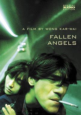 堕落天使1995 堕落天使1995