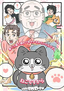 转生成猫的大叔 转生成猫的大叔