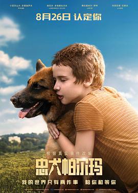 忠犬帕尔玛 忠犬帕尔玛