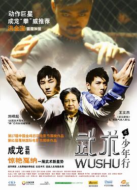武术之少年行 武术之少年行