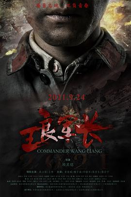 王良军长 王良军长