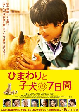 向日葵与幼犬的7天国语 向日葵与幼犬的7天国语