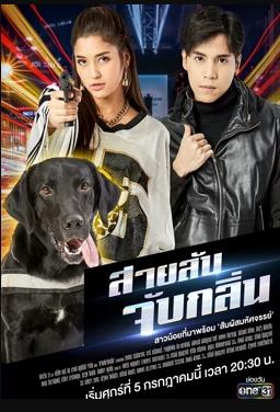 侦探K9普国语 侦探K9普国语