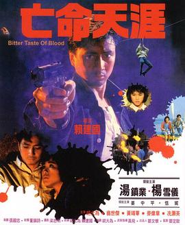 亡命天涯 亡命天涯