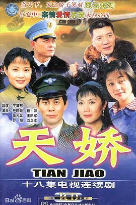 空姐的战争 空姐的战争